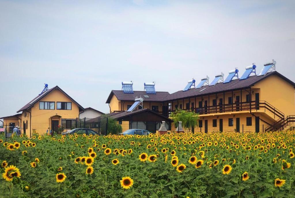 Casa De La Corbu Hotel Корбу Екстериор снимка